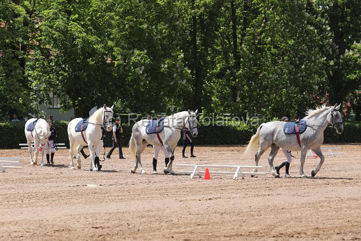 NHK_230527_0119.JPG